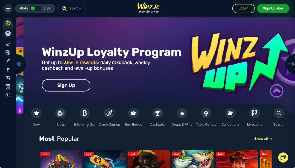 Winz Casino on Desktop